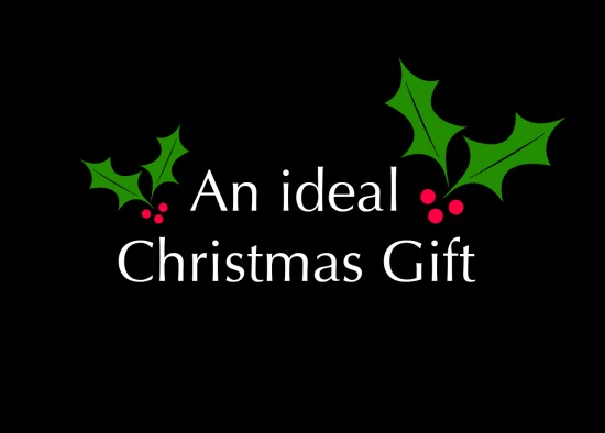 Christmas Parties - Should I? Or Shouldn't I?